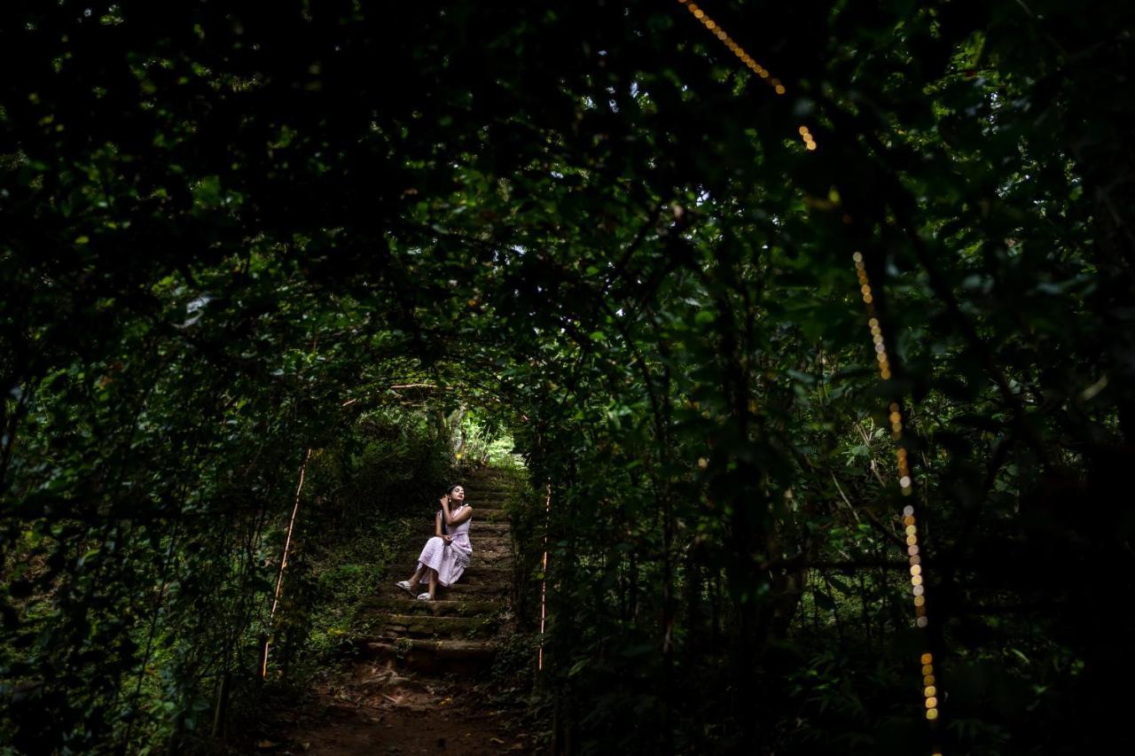 Raindrops Resorts Wayanad Sultan Bathery Buitenkant foto