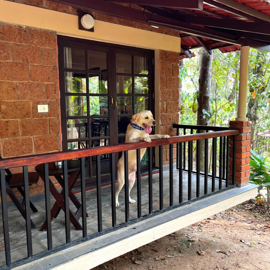 Raindrops Resorts Wayanad Sultan Bathery Buitenkant foto