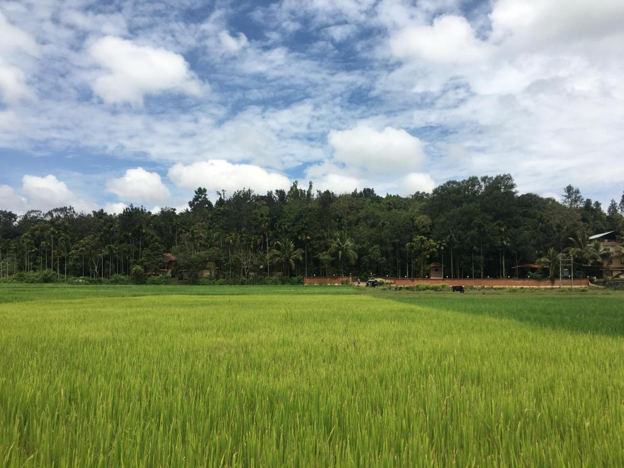 Raindrops Resorts Wayanad Sultan Bathery Buitenkant foto